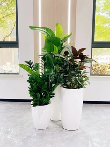 揭秘奉化花卉租摆设计，打造别样视觉盛宴